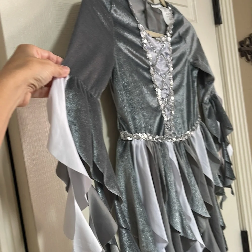 Costume. Girls size medium. See pictures! Used condition!
